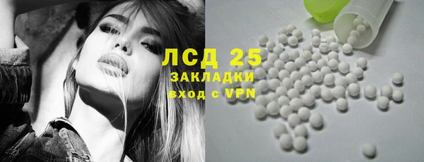 PSILOCYBIN Инта