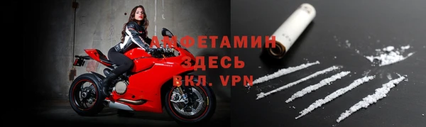 PSILOCYBIN Инта