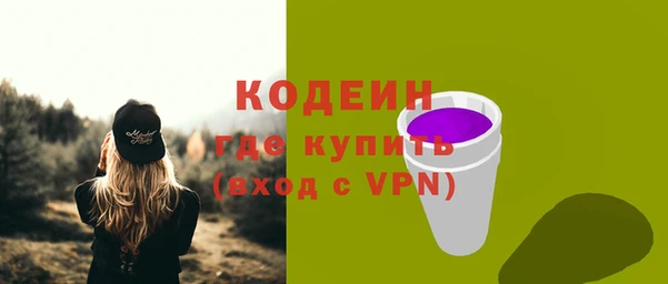 PSILOCYBIN Инта