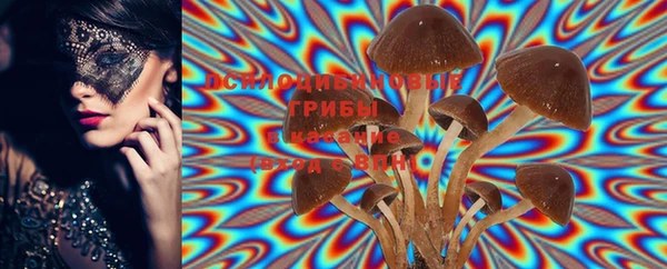 PSILOCYBIN Инта