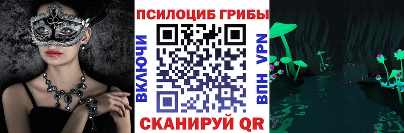 купить Карачаевск Псилоцибиновые грибы Cubensis