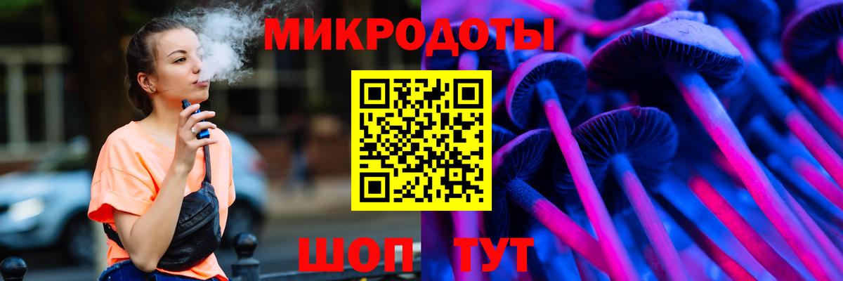 Псилоцибиновые грибы Psilocybe  Вход с VPN  как найти   Карачаевск 